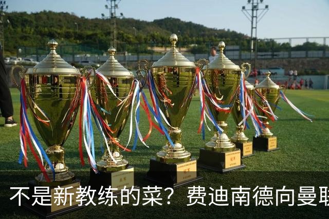 不是新教练的菜？费迪南德向曼联边后卫发出警告