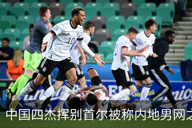 中国四杰挥别首尔被称内地男网之痛，大威首次回应屡战屡败