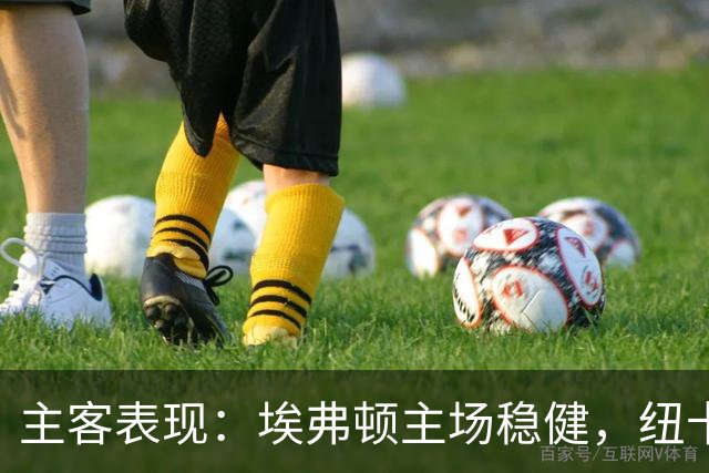 主客表现：埃弗顿主场稳健，纽卡斯尔联客场起伏