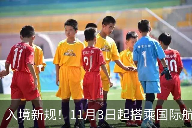 入境新规！11月3日起搭乘国际航班赴美，登机前必须签署声明，公民、绿卡也包括
