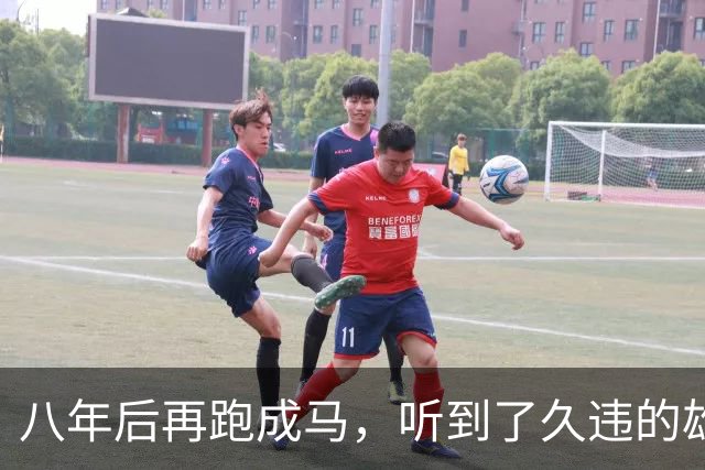 八年后再跑成马，听到了久违的雄起声