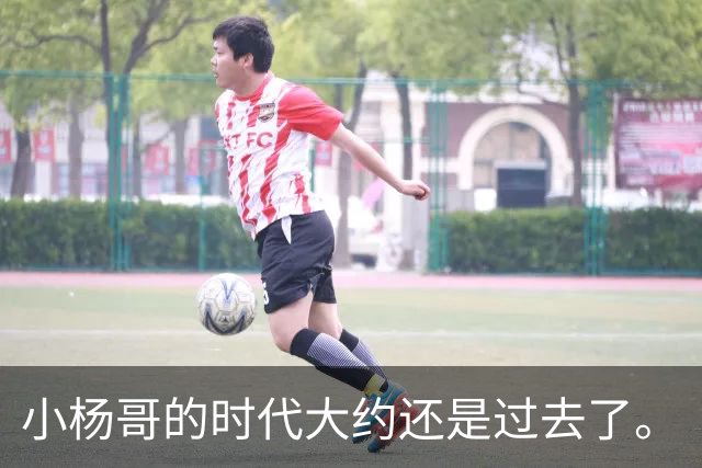 小杨哥的时代大约还是过去了。