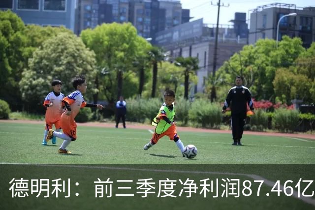 德明利：前三季度净利润87.46亿元 同比增长32399.91%