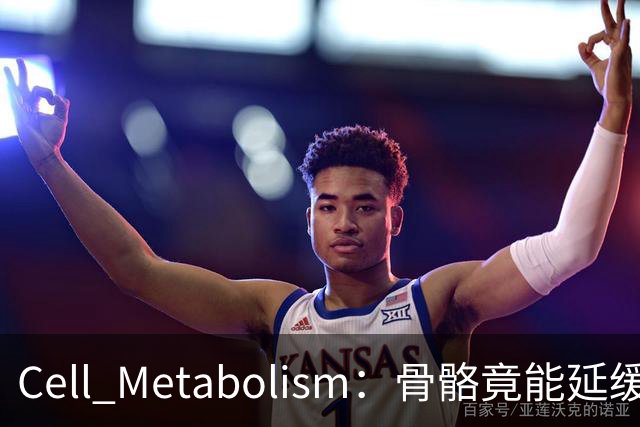 Cell Metabolism：骨骼竟能延缓衰老、延长寿命！白晓春团队揭示抗衰新机制